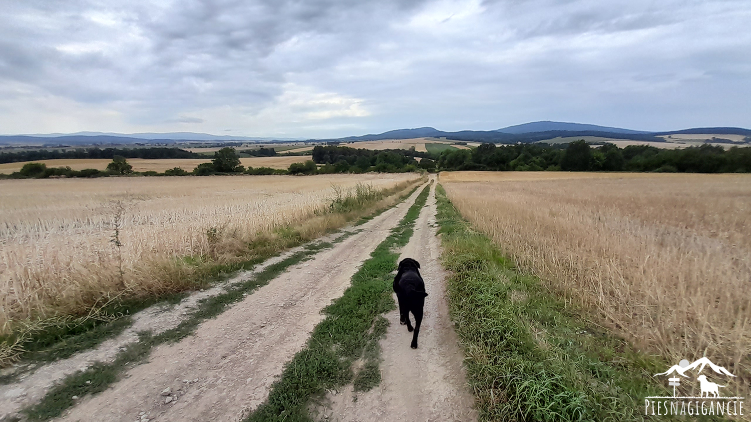 Wieża Bismarcka na Jańskiej Górze