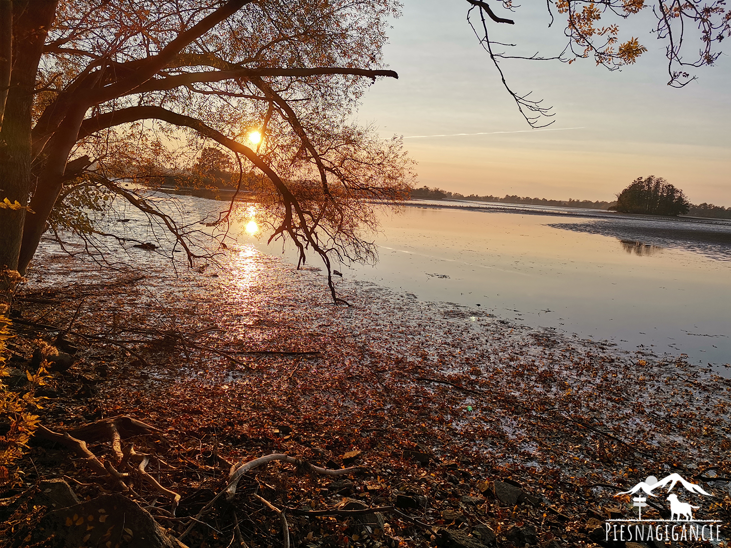 Słoneczny Górny Staw