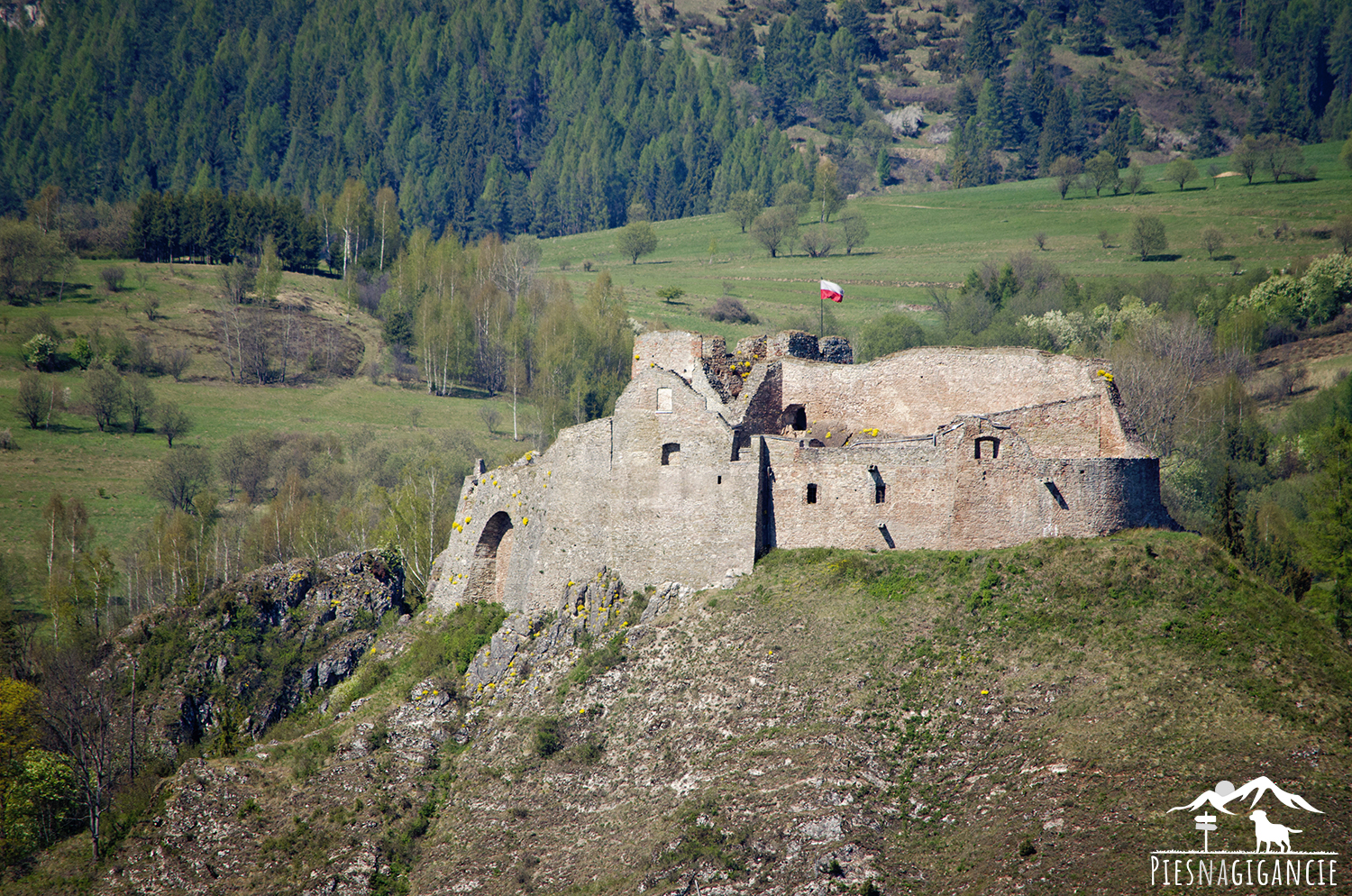 Zamek Czorsztyn