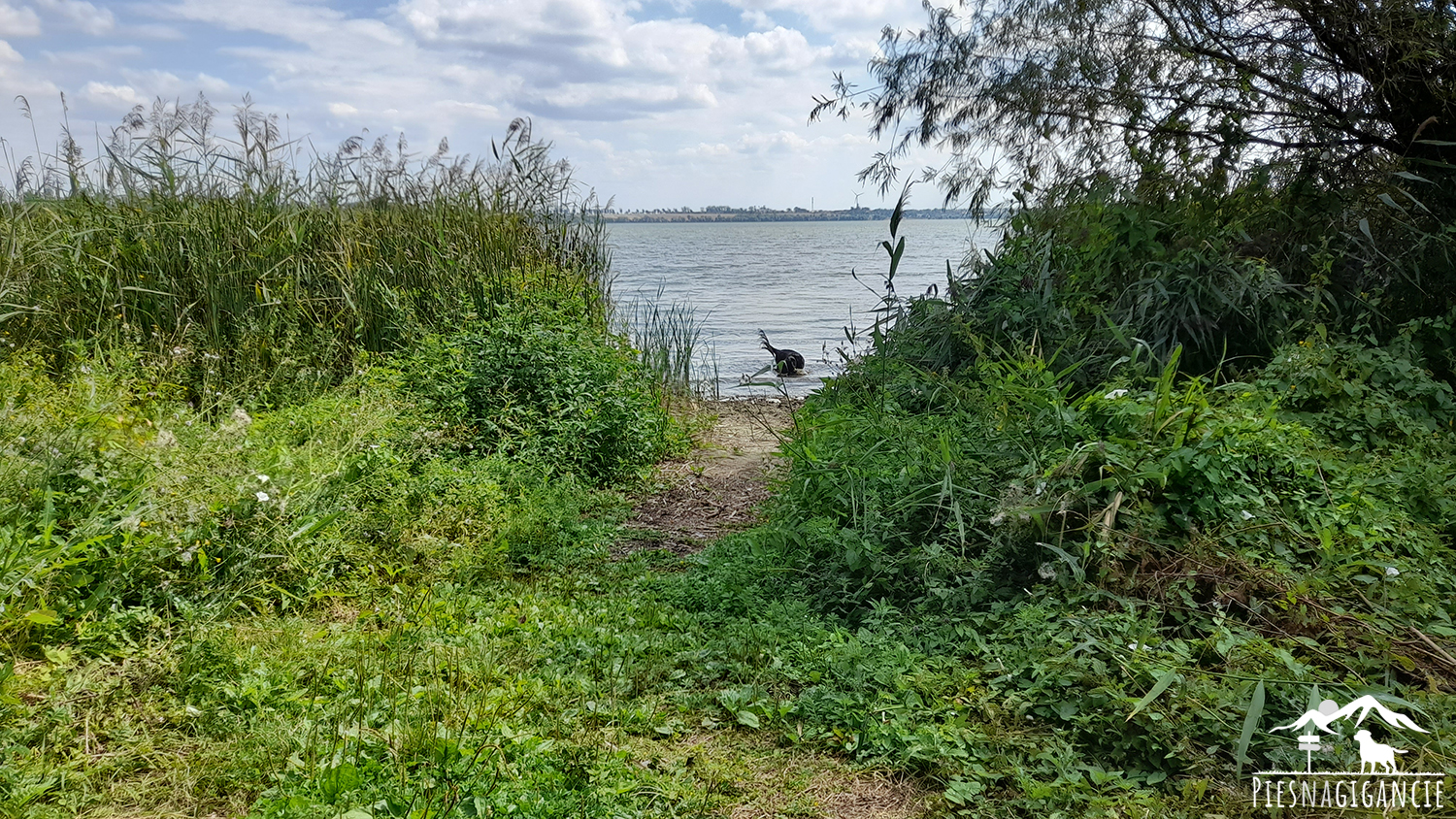 Jezioro Duże Żnińskie Na brzegach jeziora wybudowano dwa nowoczesne pomosty, powstała promenada, a plażowiczom udostępniono toalety oraz przebieralnie