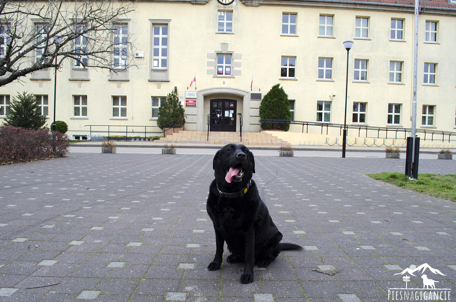 Park w Siechnicach