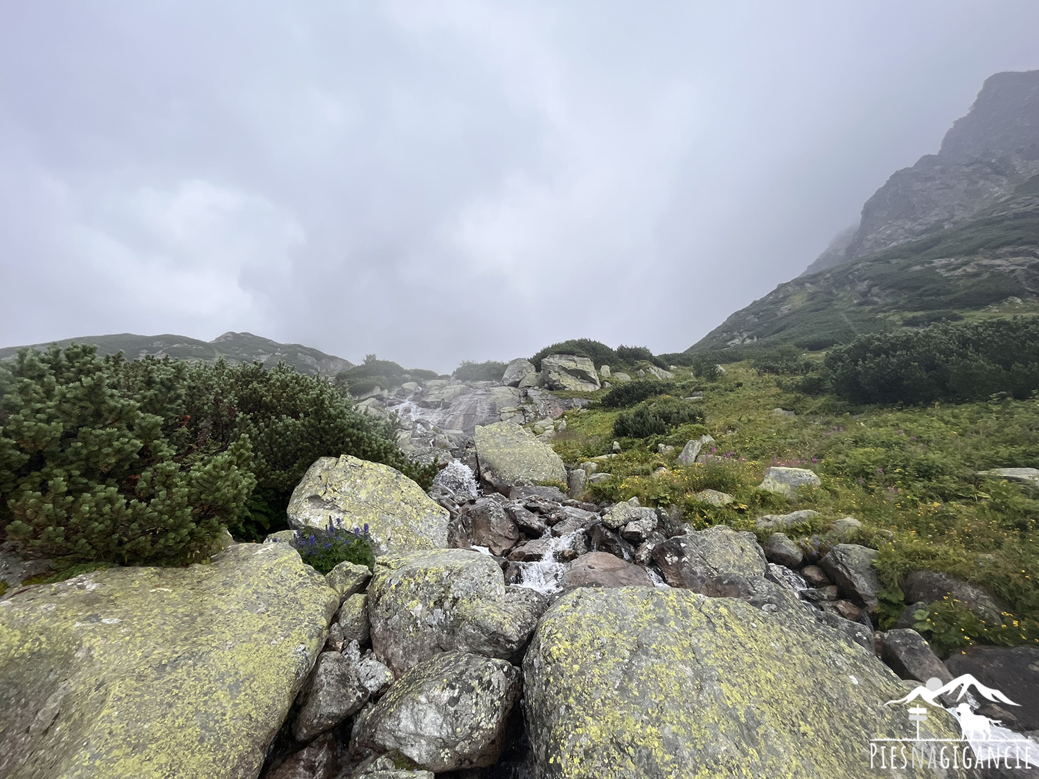 Štrbské pleso – Žabie pleso