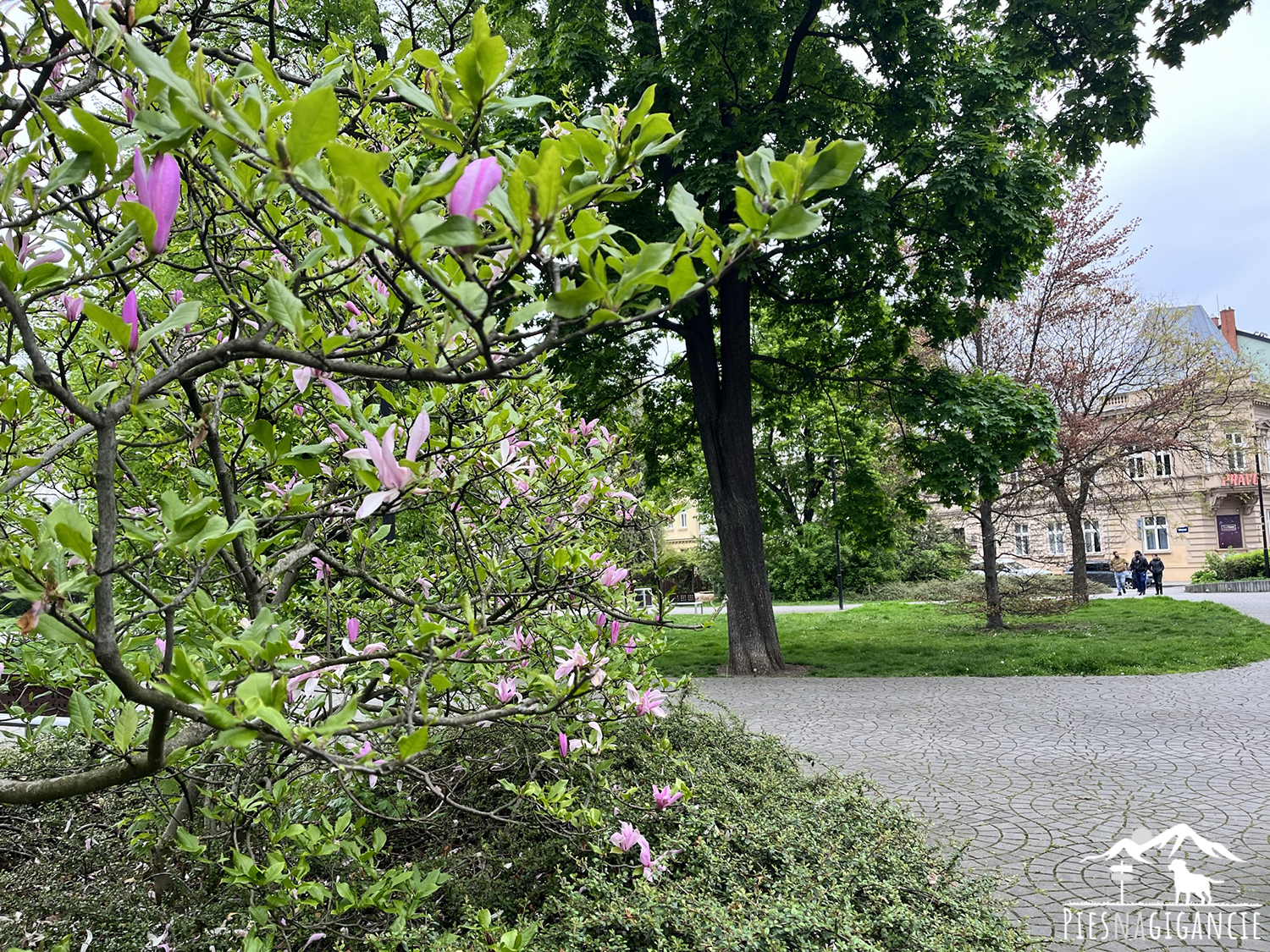 Husův sad Ostrava