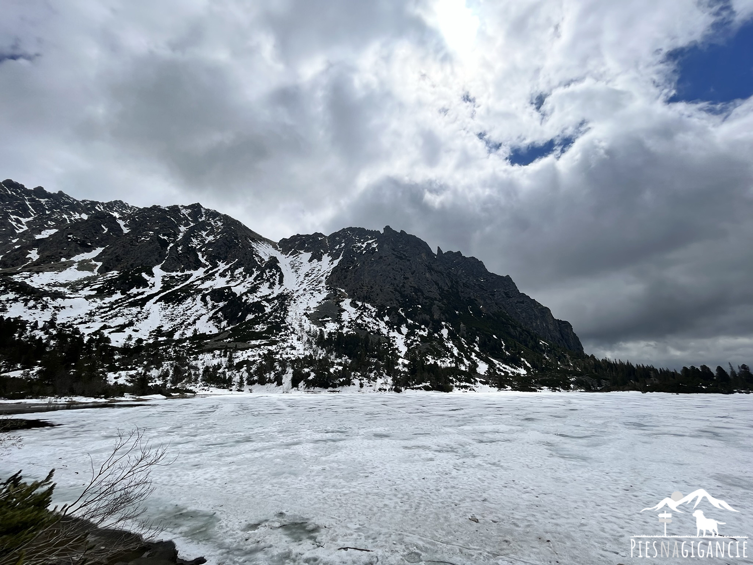 popradzkie pleso z psem