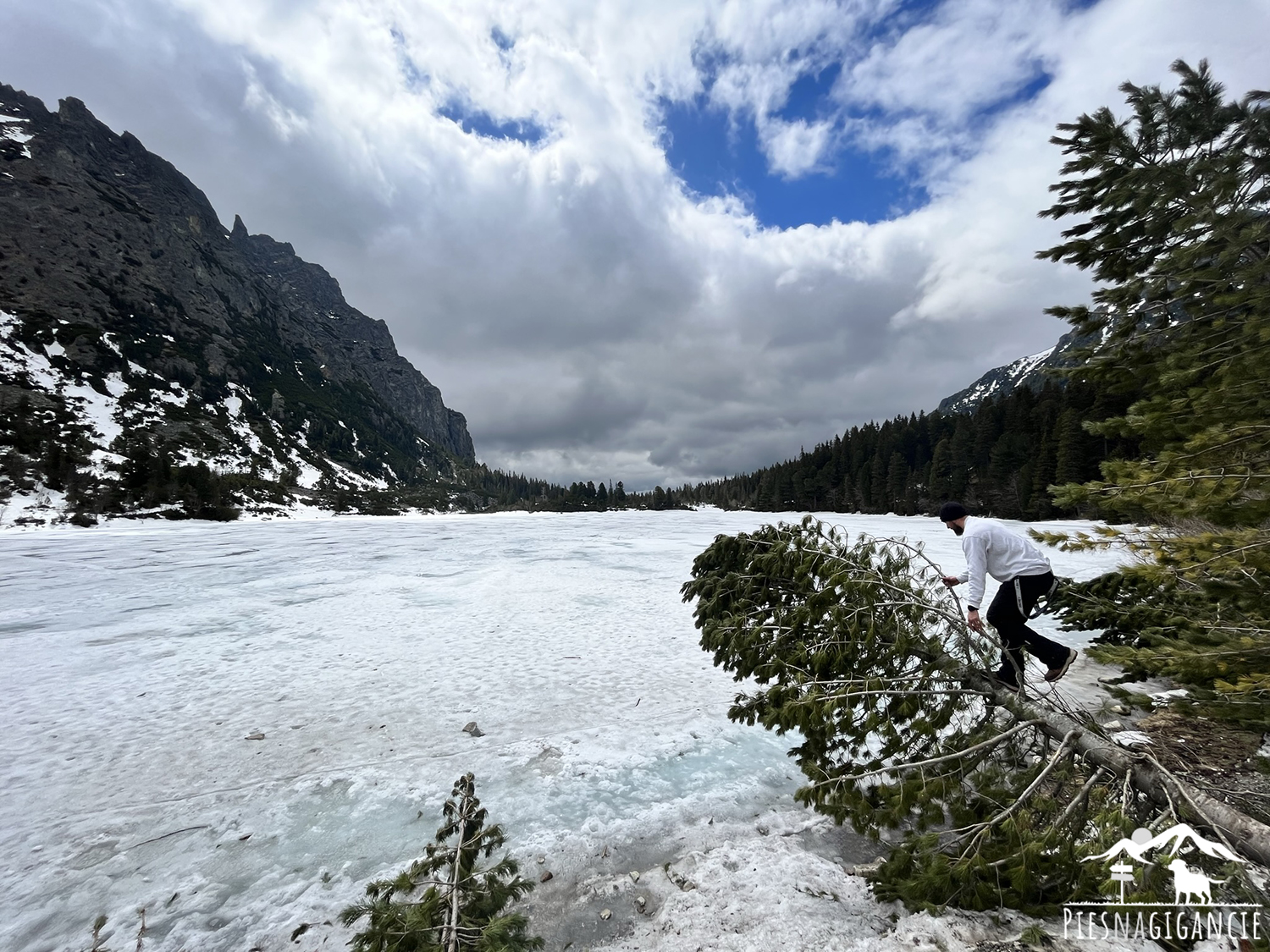 popradzkie pleso z psem