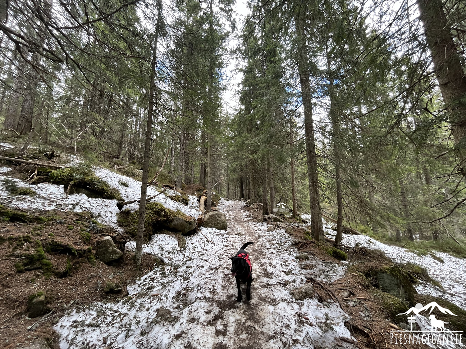 Štrbské pleso - Vodopád Skok