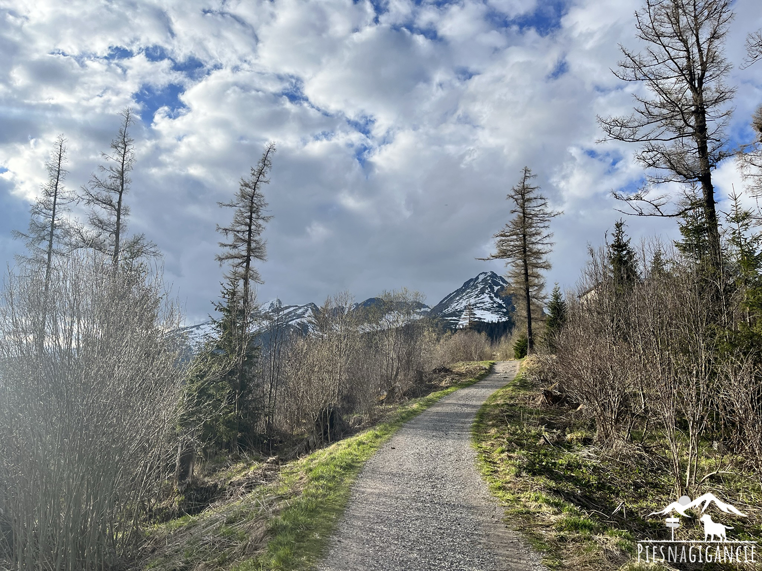 Štrbské pleso