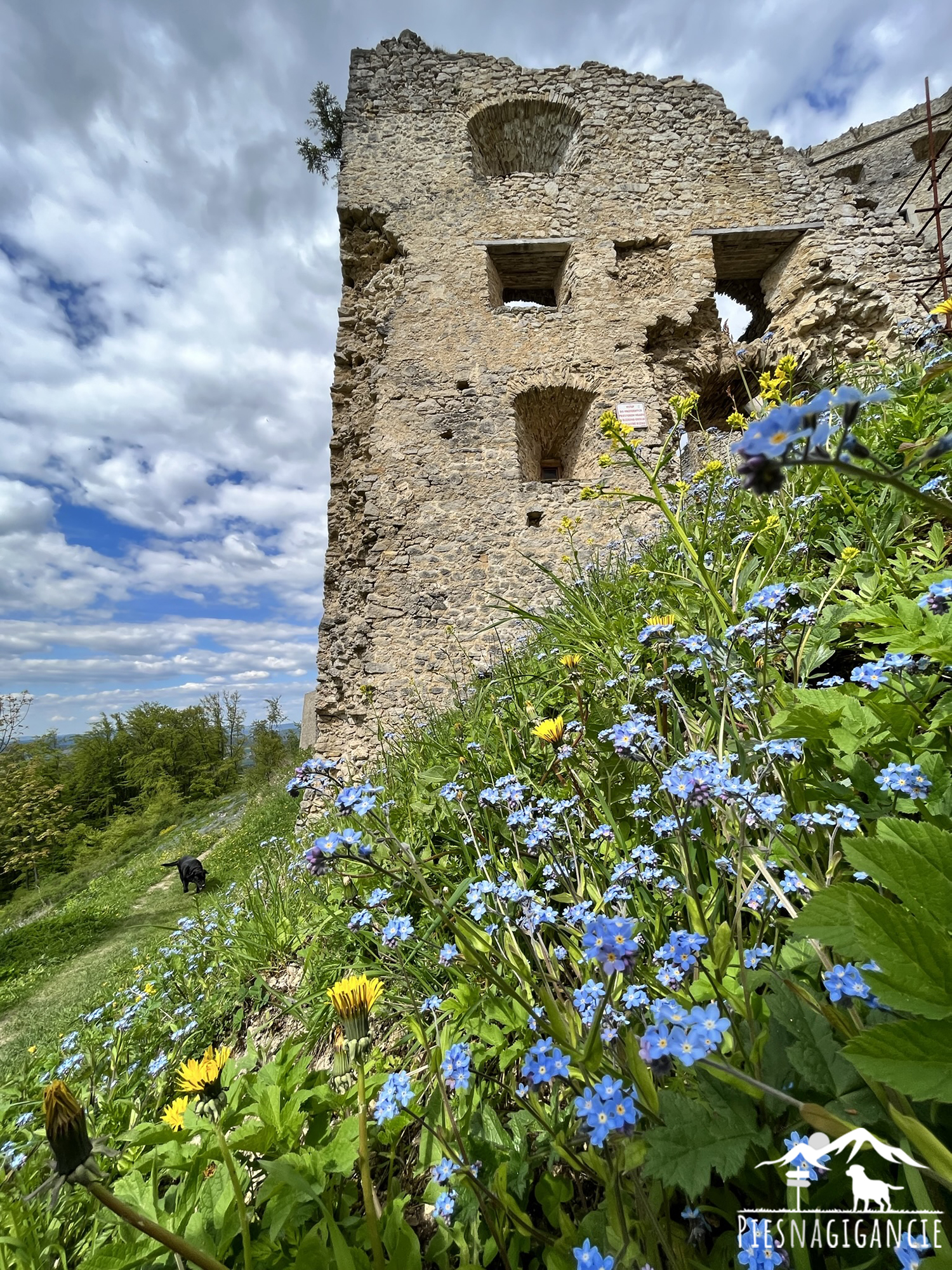 Lietavský hrad