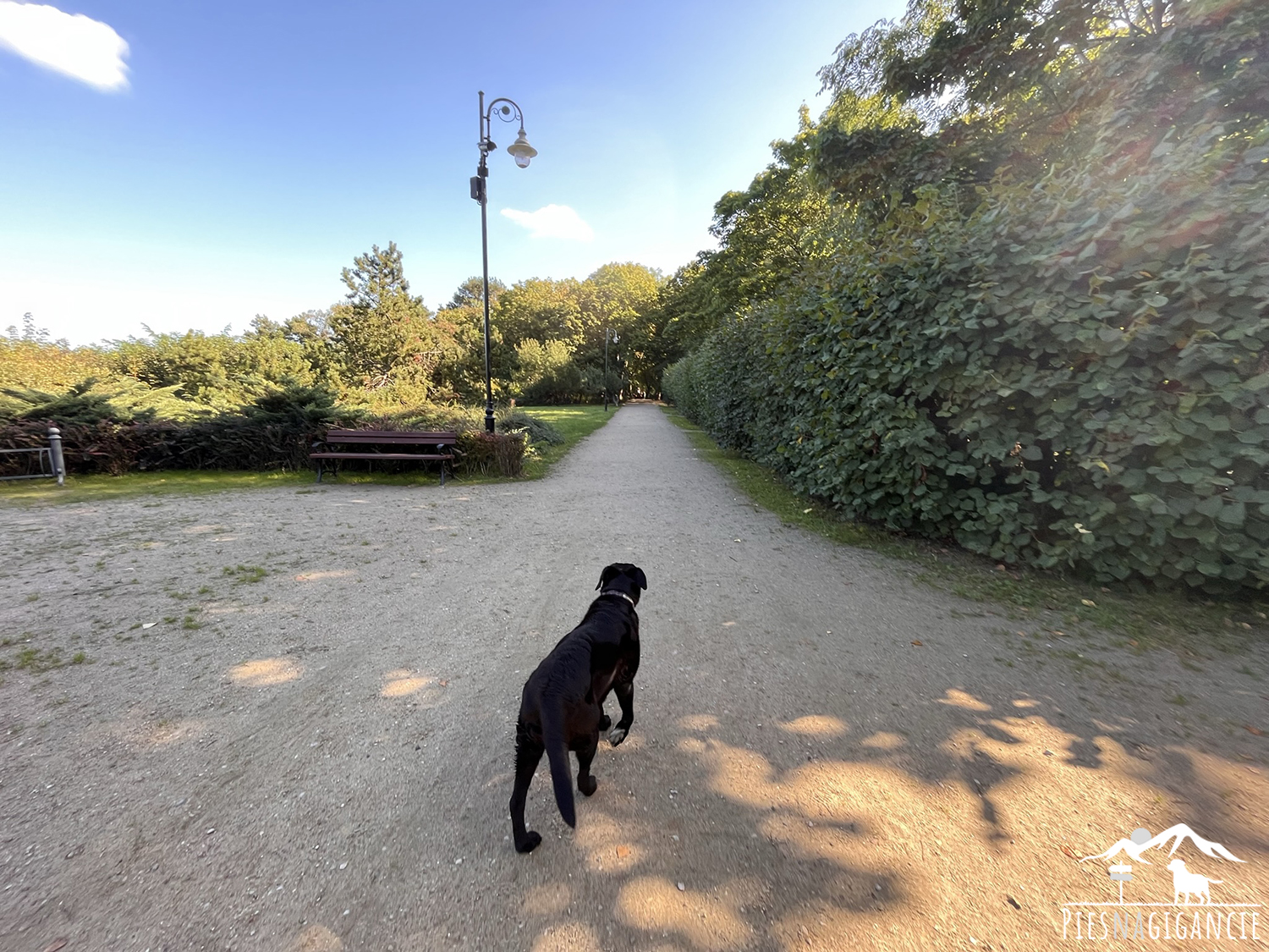 park gdansk