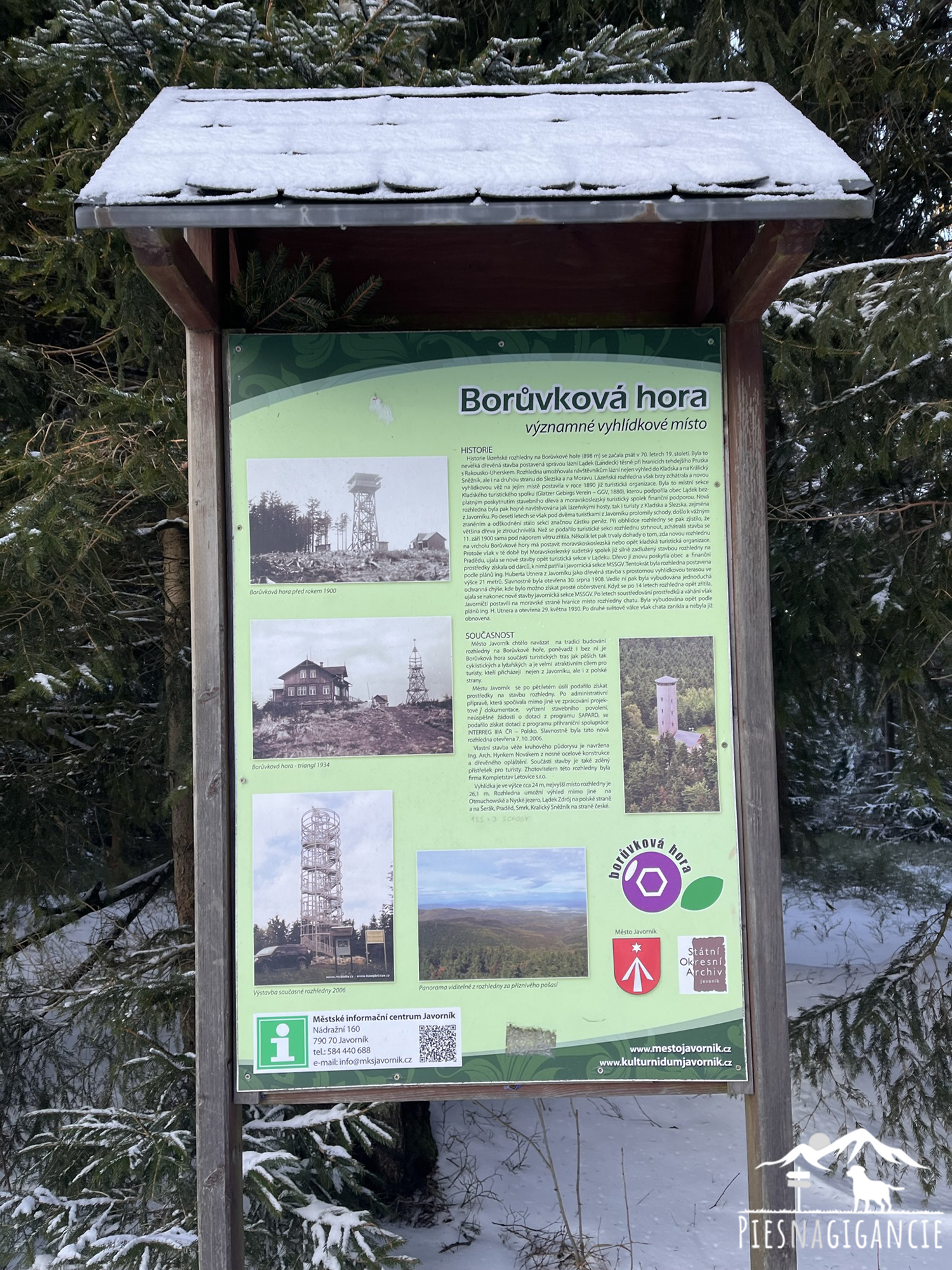 Borówkowa Góra