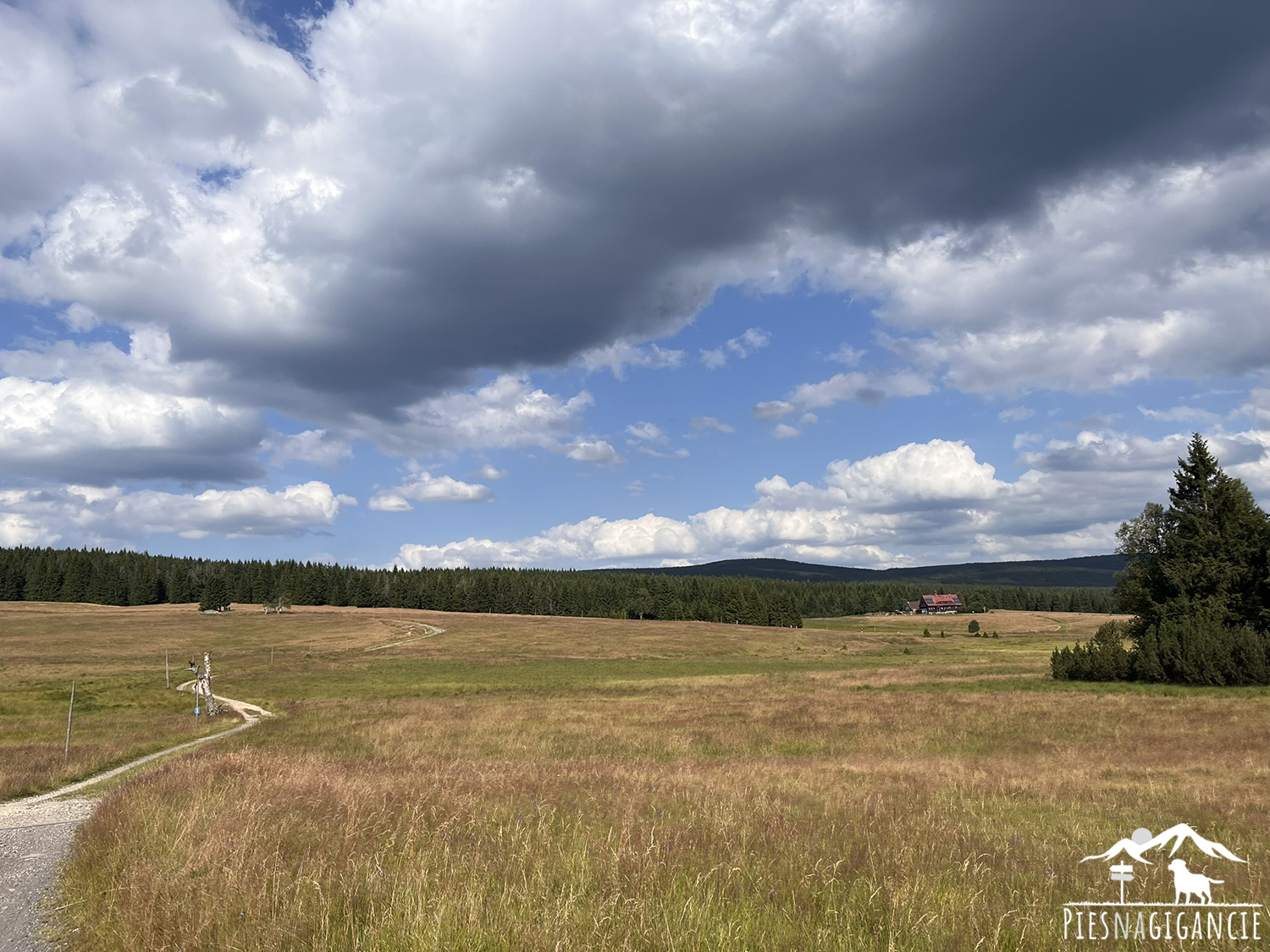 Chatka Górzystów