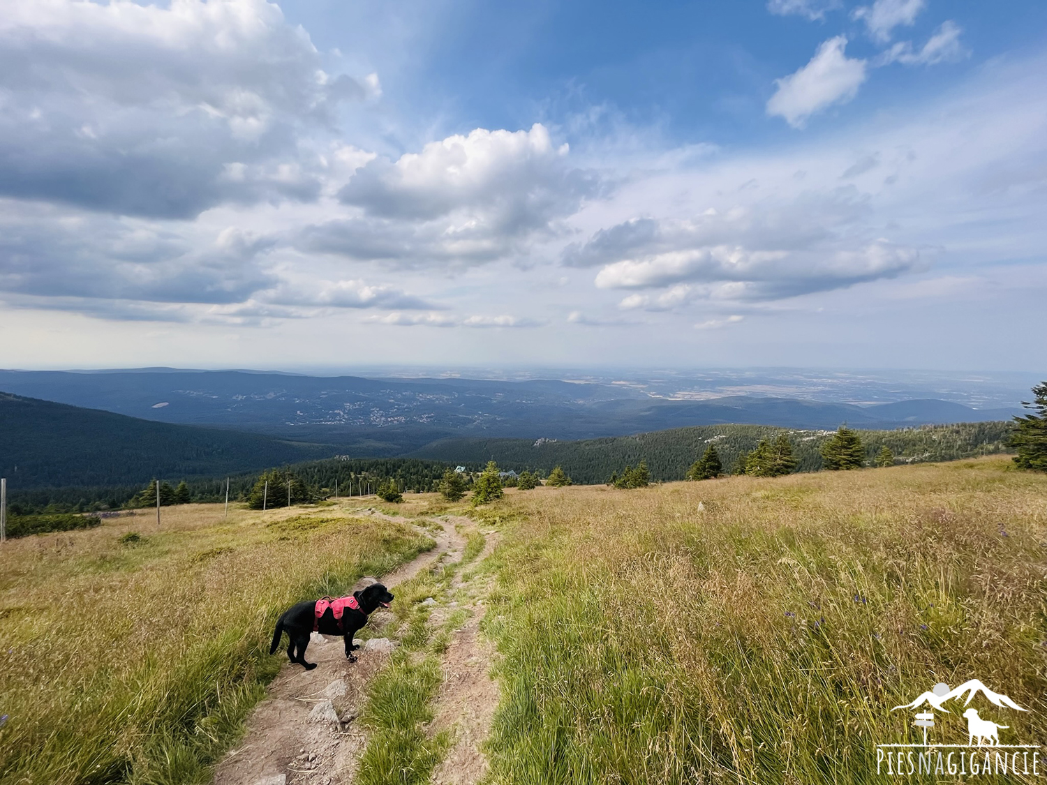 karkonosze z psem szlaki